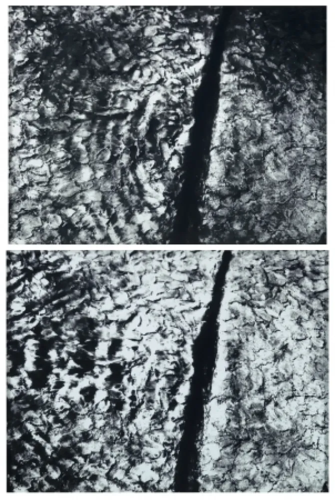 シルクスクリーン Iglesias - Tablemats