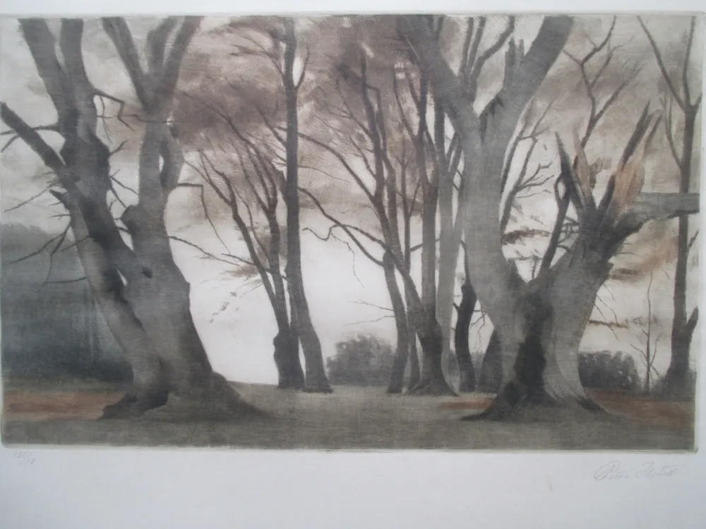 メゾチント彫法 Ilsted - Trees in Ermelunden