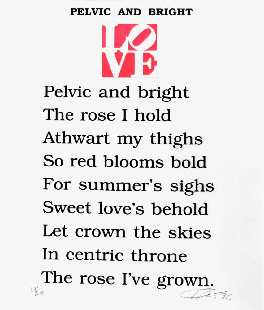 シルクスクリーン Indiana - PELVIC AND BRIGHT