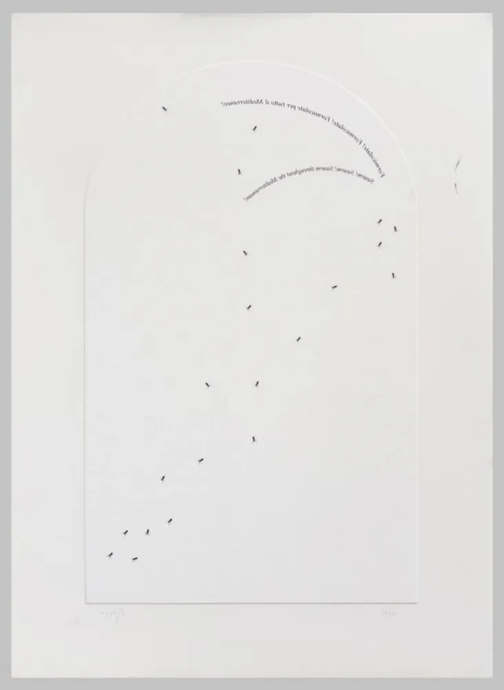 シルクスクリーン Isgro - Formicolate! Formicolate! Formicolate per tutto il mediterraneo!