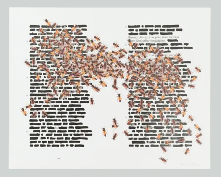 オフセット Isgro - L'Odissea cancellata