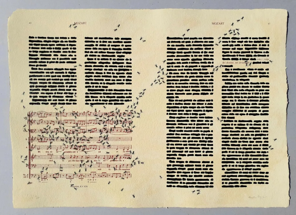 シルクスクリーン Isgro - Mozart