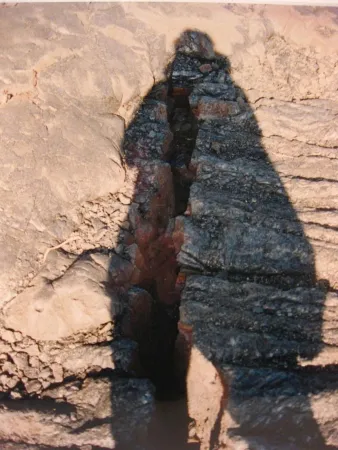 写真 Jacobs - Shadows I