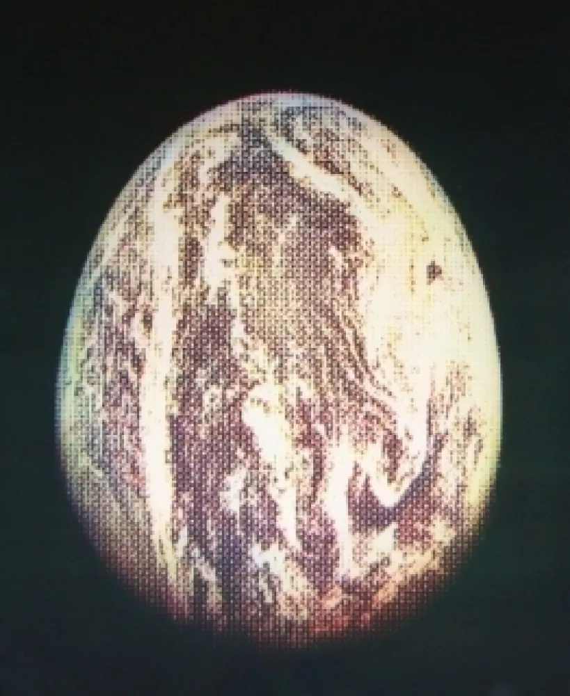 エッチングと　アクチアント Jacquet - L'oeuf