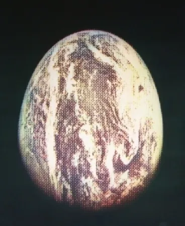 エッチングと　アクチアント Jacquet - L'oeuf