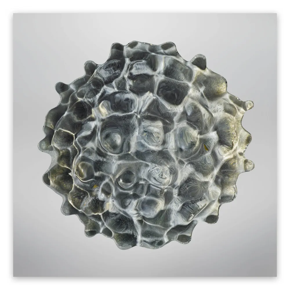 写真 Janiak - Résonance - water drop 84 (Large)