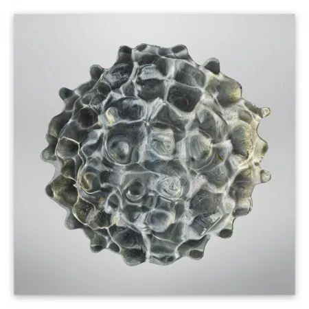 写真 Janiak - Résonance - water drop 84 (Large)