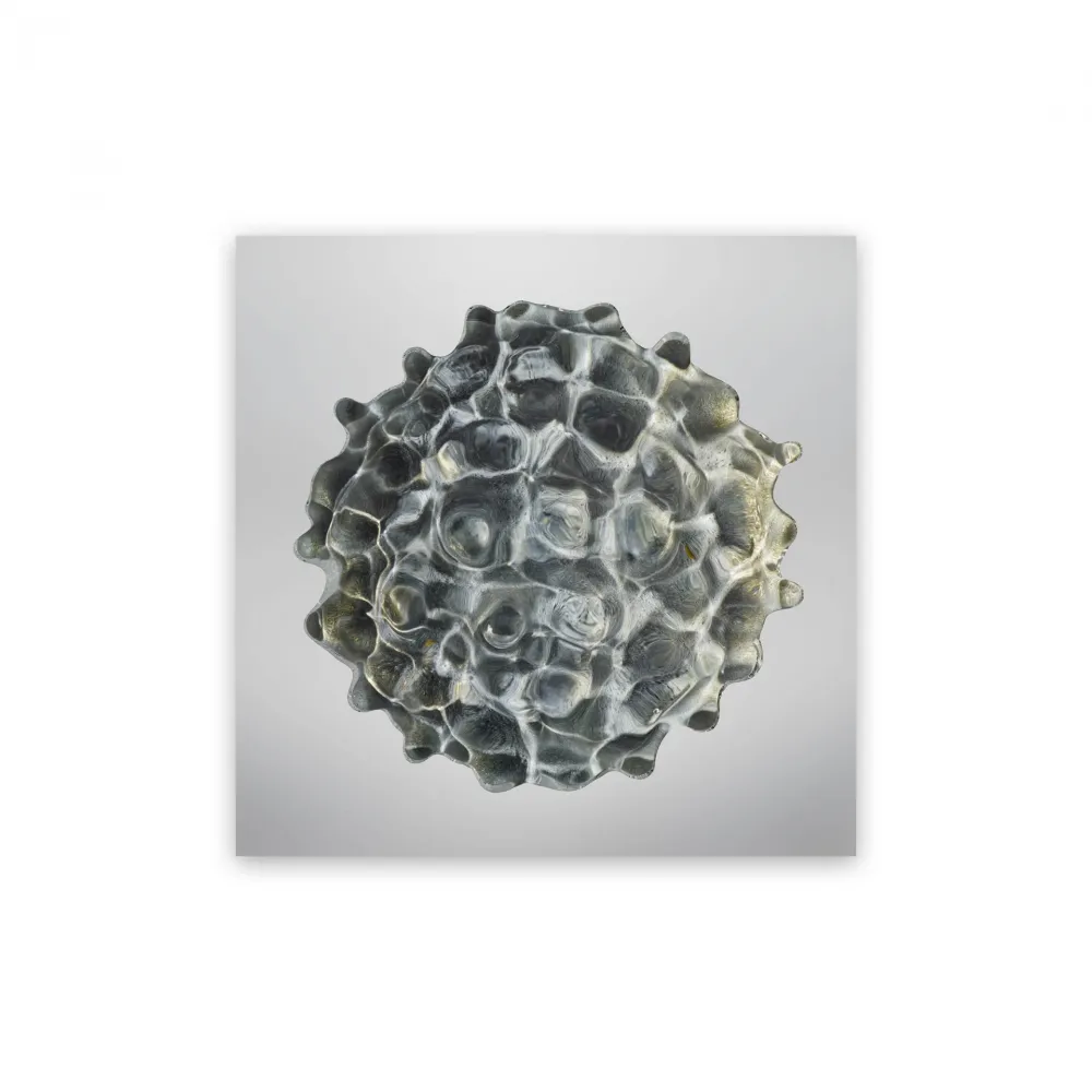 写真 Janiak - Résonance - water drop 84 (Medium)