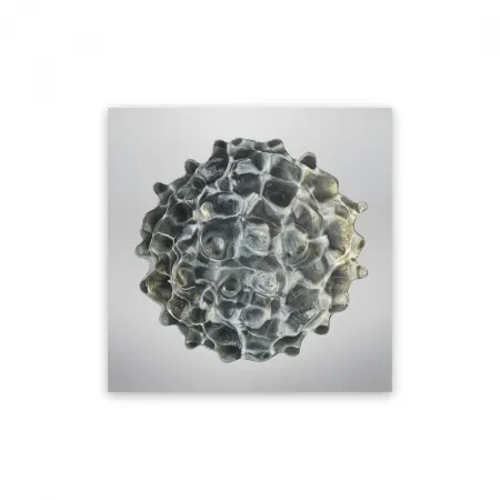 写真 Janiak - Résonance - water drop 84 (Medium)