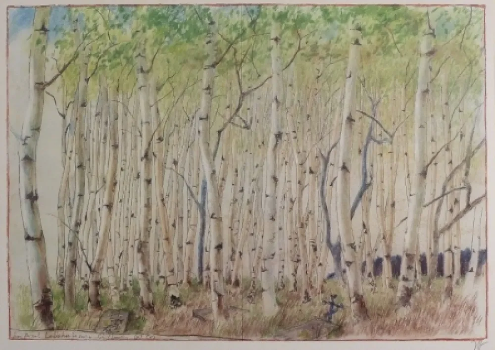 オフセット Janssen - Birkenwald. dem Axel Lebahn für seine Schilderung (p) (k)