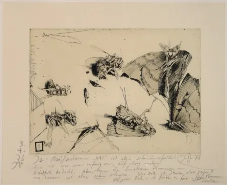 彫版 Janssen - (Tote Nachtfalter und Insekten)