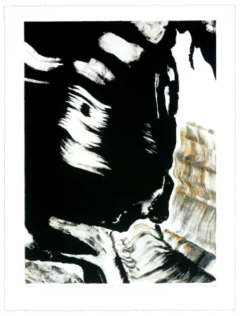 リトグラフ Jarrosson - Noir Brutal