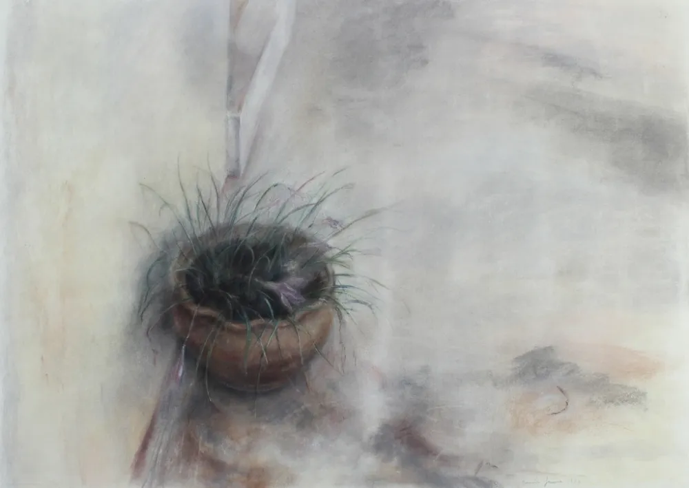 技術的なありません Jaume - On the Patio