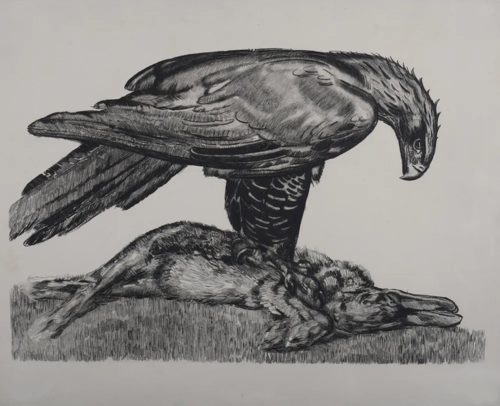 エッチング Jouve - Aigle enserrant un lièvre, c. 1930 - Deluxe suite!