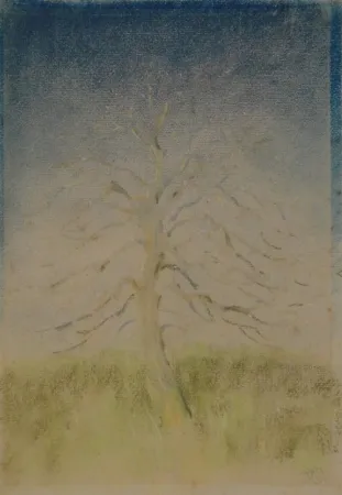 技術的なありません Junghanns - (Kahler Baum)