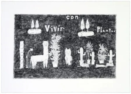 彫版 Kaga - Vivir con plantas