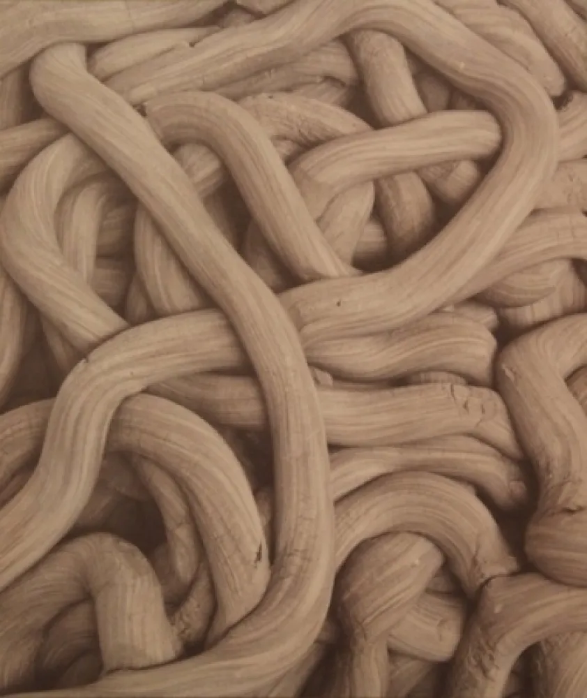 リトグラフ Kapoor - A Detail of Greyman Cries, Shaman Dies, Billowing Smoke, Beauty Evoked, 2008-2009 