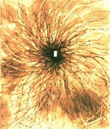 アクチアント Kapoor - Door