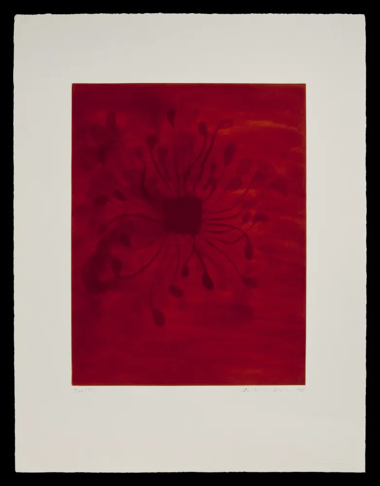 アクチアント Kapoor - S/T