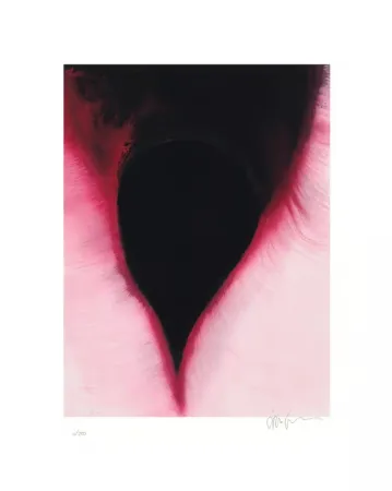 多数の Kapoor - The Dark