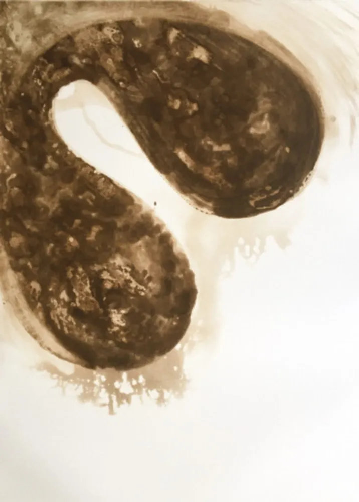 アクチアント Kapoor - Untitled (12)