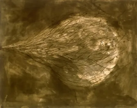 アクチアント Kapoor - Untitled (III)