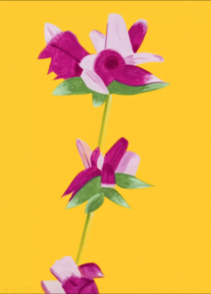 多数の Katz - Azaleas on Yellow