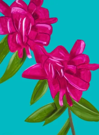 技術的なありません Katz - Peonies