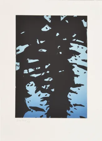 エッチング Katz - Reflection I