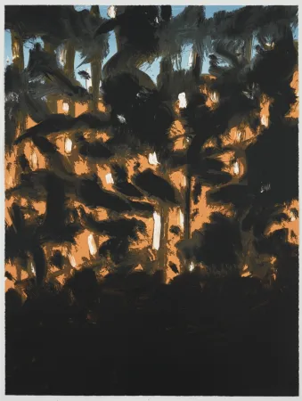 多数の Katz - Sunrise