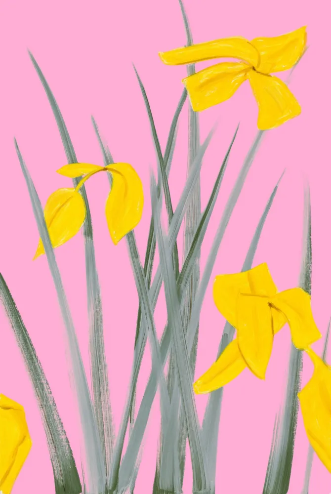 技術的なありません Katz - Yellow Flags 3