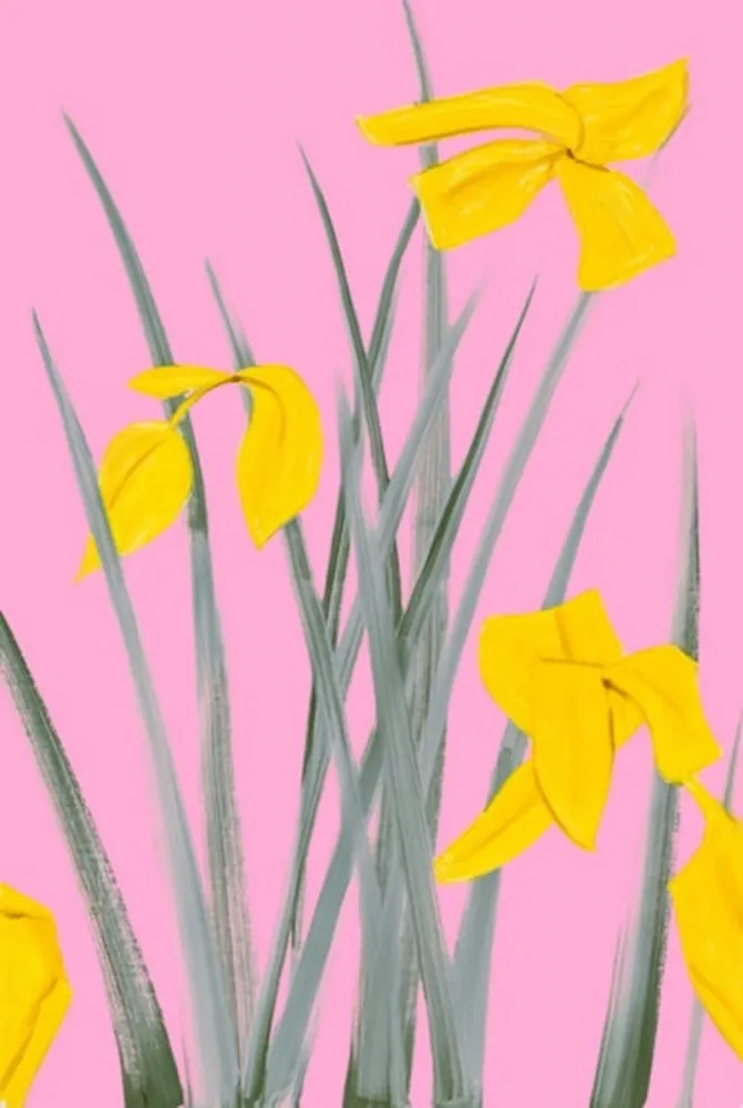 技術的なありません Katz - Yellow Flags 3