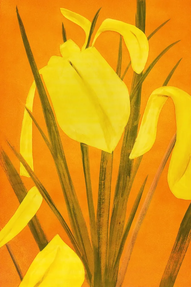 エッチングと　アクチアント Katz - 