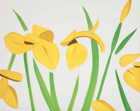 技術的なありません Katz - Yellow Flags on White