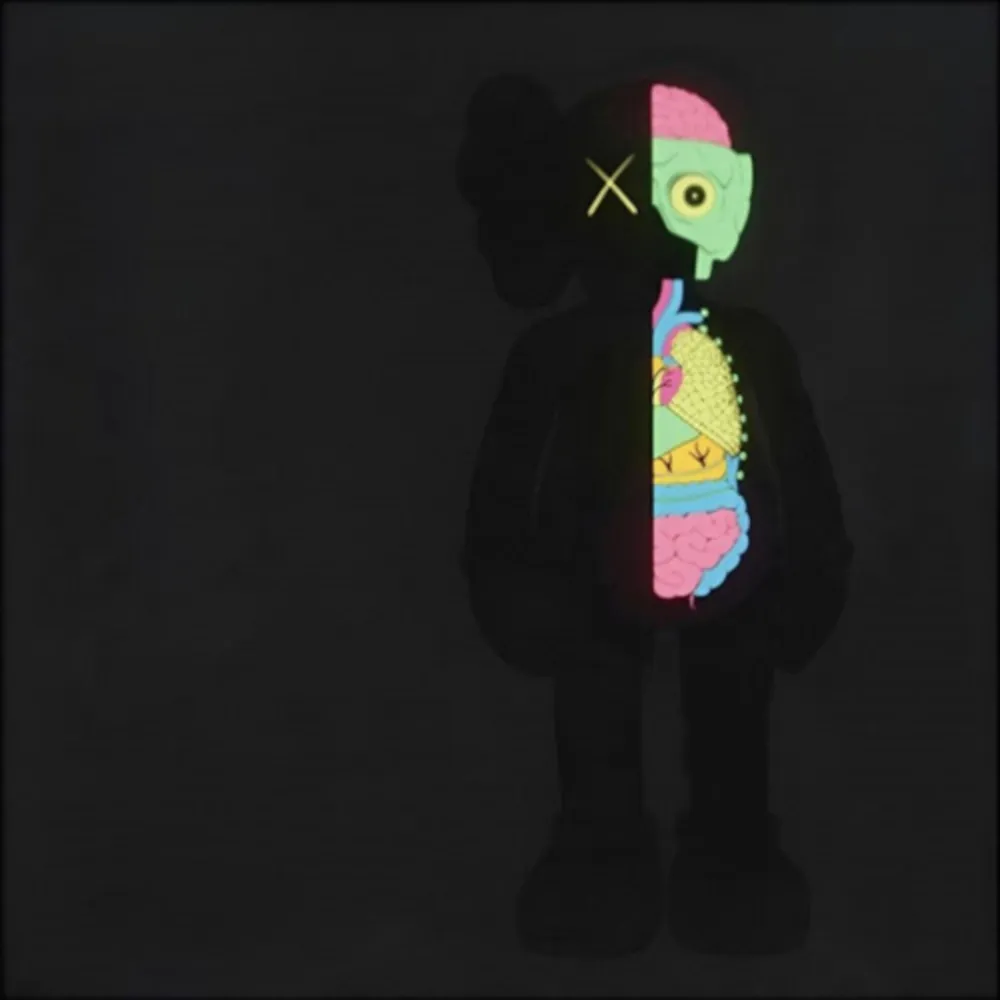 多数の Kaws - Dissected Companion (Black)