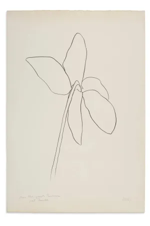 リトグラフ Kelly - Cyclamen IV, 1964-1965