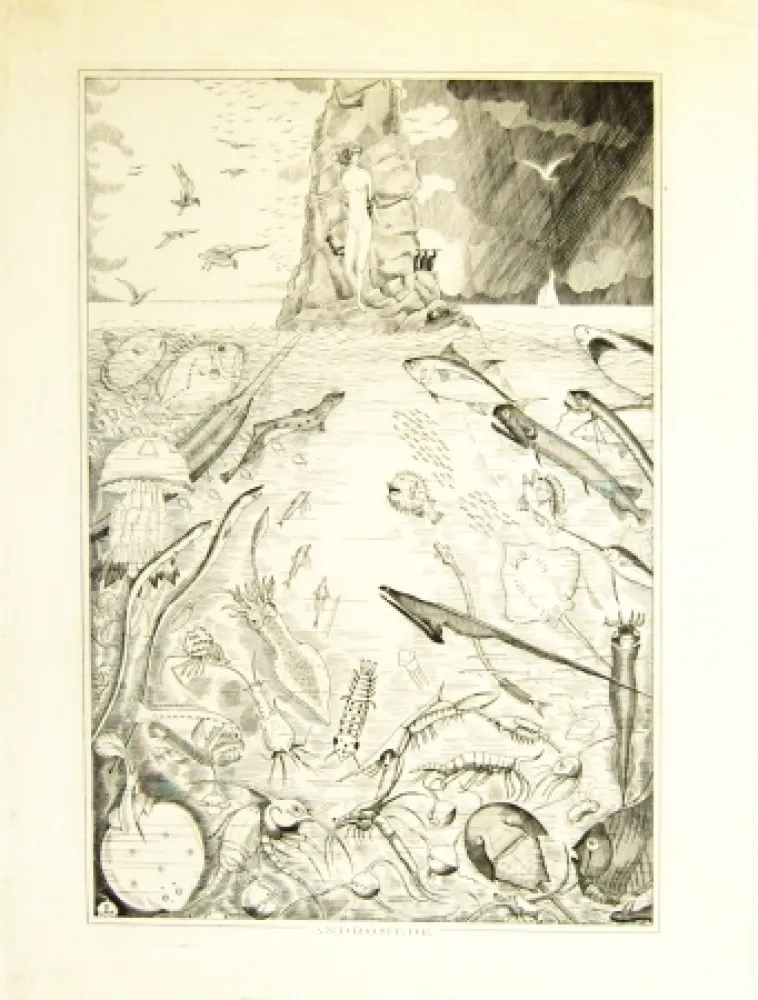 彫版 Laboureur - Andomède