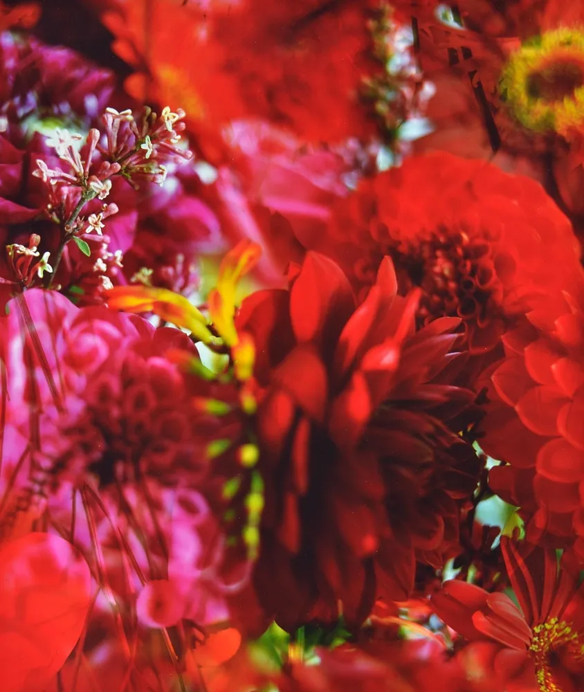 写真 Lafontaine - Paradise Lost I