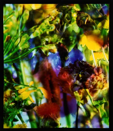 写真 Lafontaine - Paradise Lost II