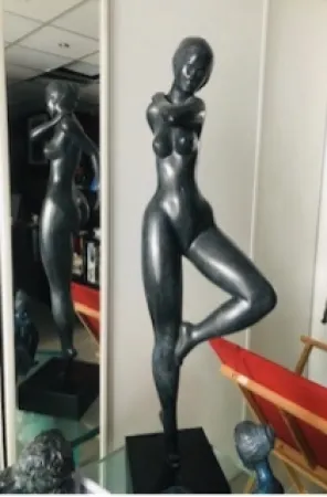 技術的なありません Laniau - Hirondelle