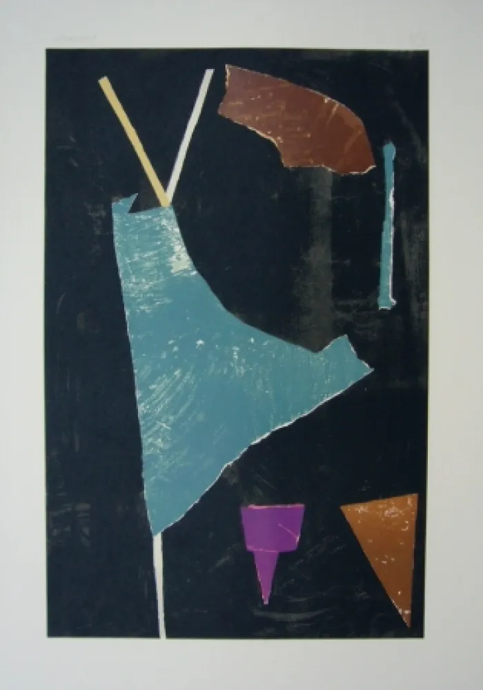 リトグラフ Lanskoy - Journal d'un fou