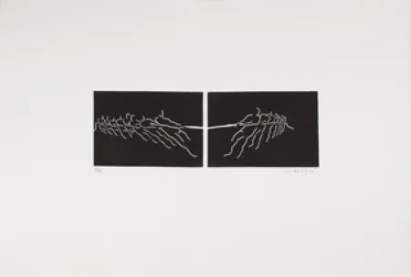 リノリウム彫版 Larregui - TIR A LA CORDE