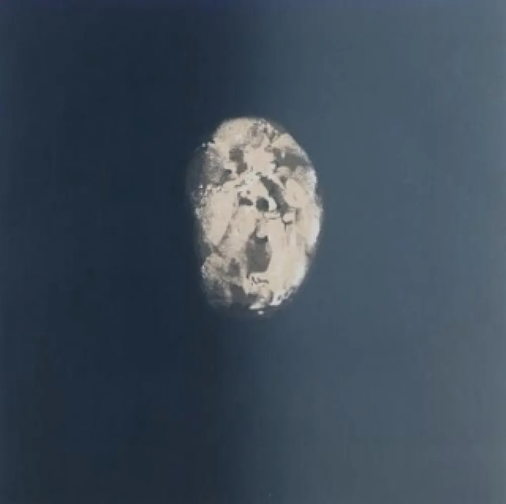 エッチング Le Brocquy - Image in drakness