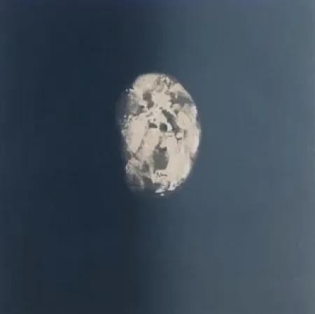 エッチング Le Brocquy - Image in drakness