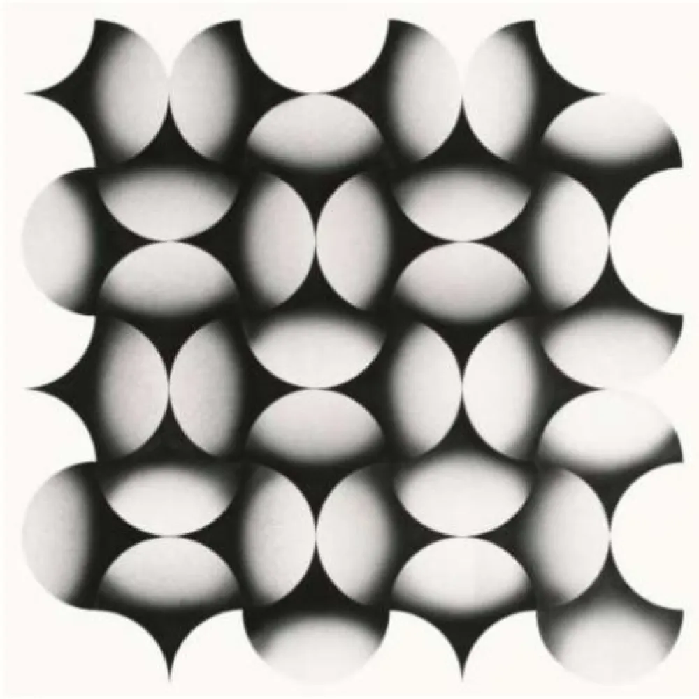 リトグラフ Le Parc - Mod 10