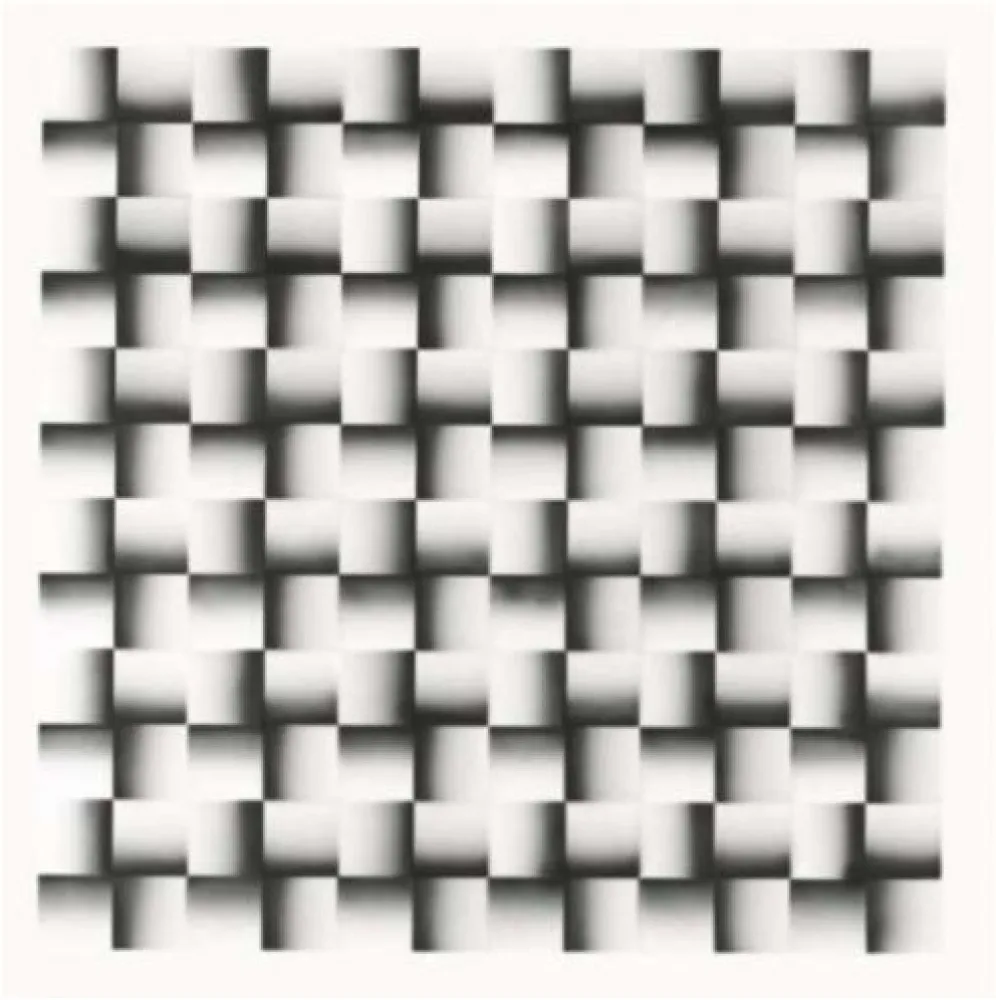 リトグラフ Le Parc - Mod 9