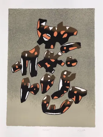 リトグラフ Le Witt - Album internacional