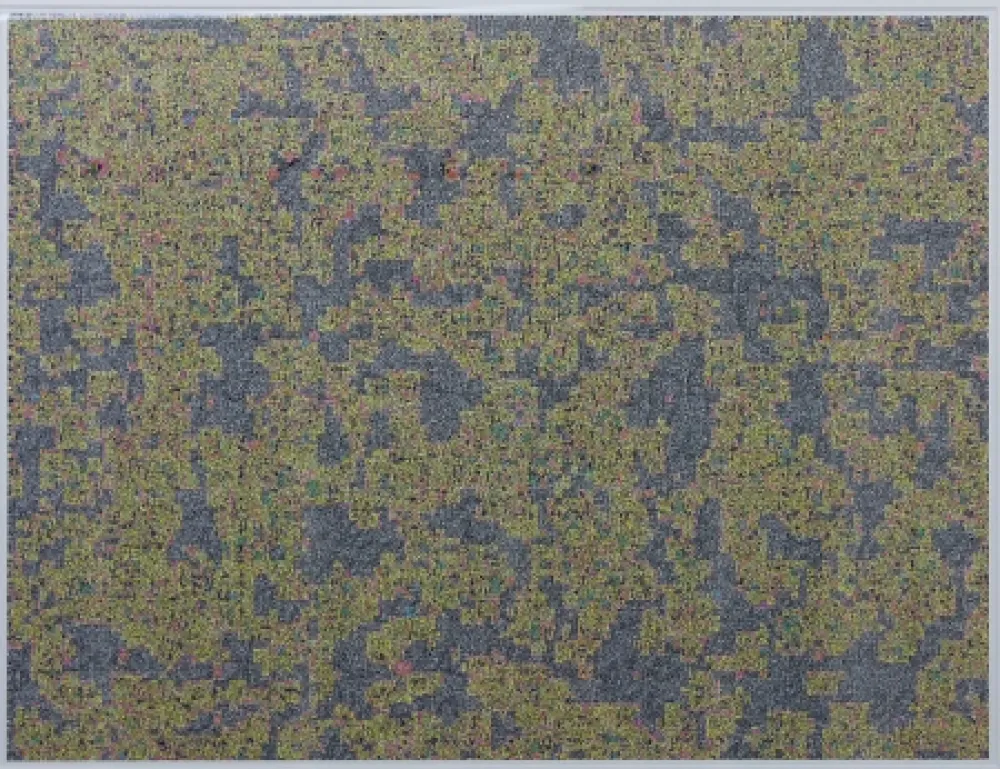 デジタル版画 Leherpeur - Compression ADS 2