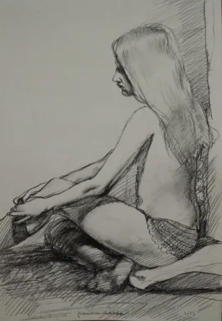 技術的なありません Lehrer - Lucy Blueskies