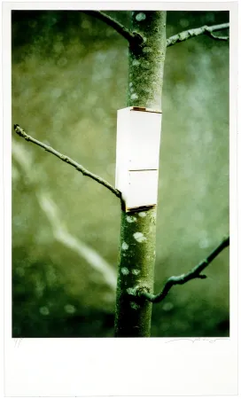 デジタル版画 Leick - Greffes et greffons I